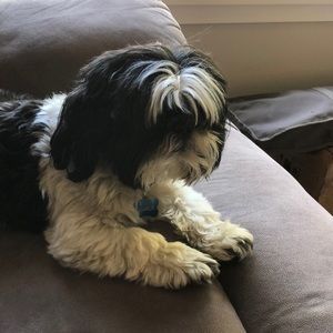 Meet your Posher, Laurel